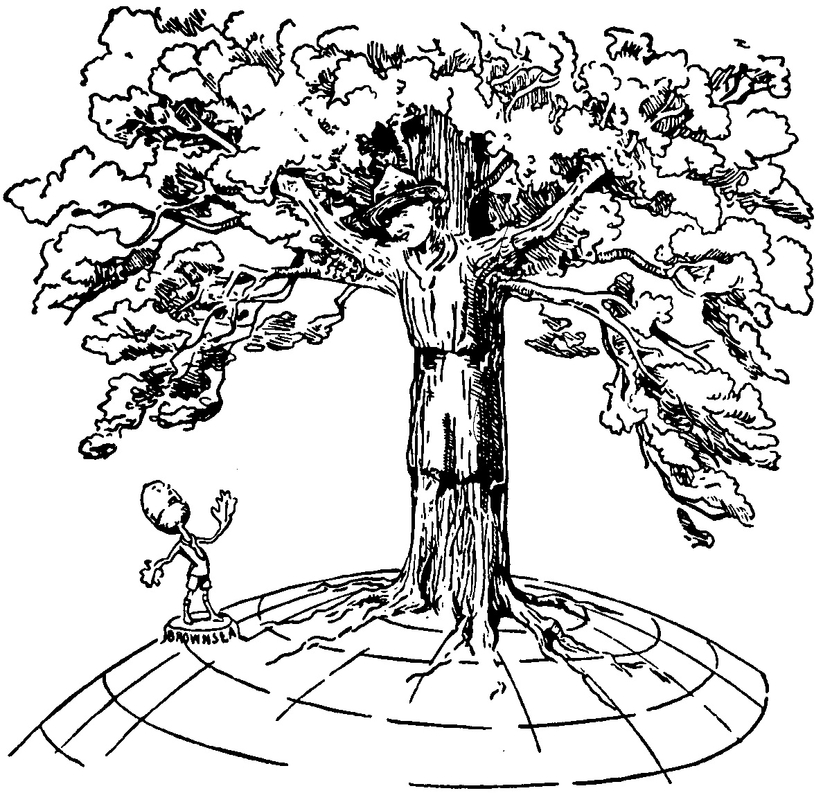 foto da caricare
